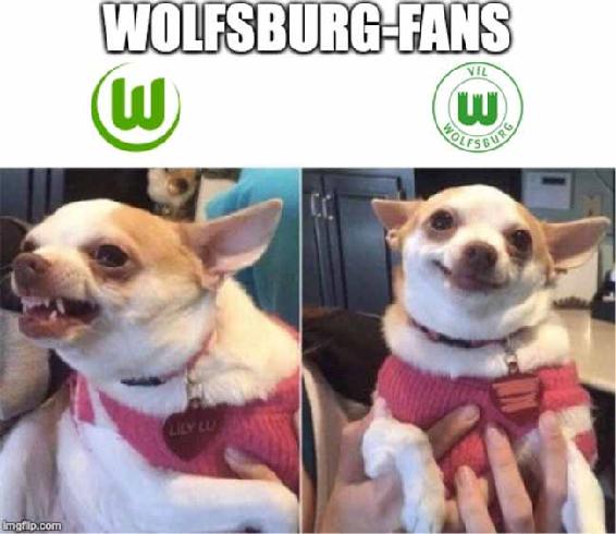 VfL Wolfsburg meme new logo fans