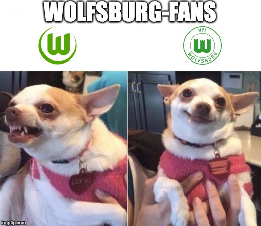 Wolfsburg-Meme: Wenn die Fans das neue Logo nicht mögenRB Leipzig — Der Klub, der die DFL austrickst (13 Bilder)Nr.DateinameAbmessungenFormatGrößeTypBildunterschrift